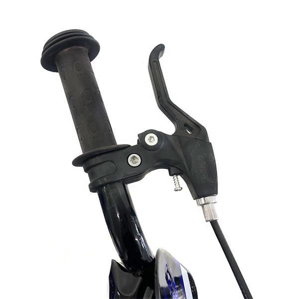 دینو دوچرخه شهری 16