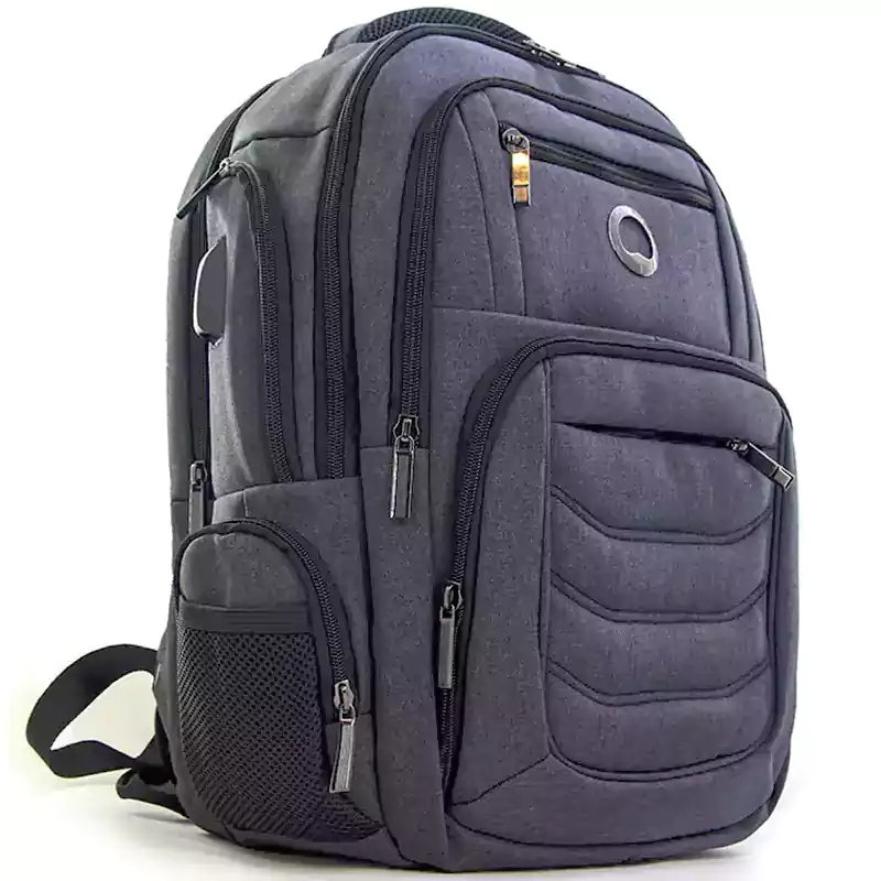 کوله لپ تاپ 15.6 اینچ دلسی پاریس Delsey Paris 666